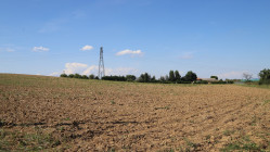 Canicule et s&eacute;cheresse : l&rsquo;agriculture plomb&eacute;e, 0,1 point de PIB en moins pour la France en 2026