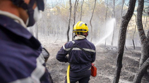 Feux de for&ecirc;t : six d&eacute;partements plac&eacute;s en risque &eacute;lev&eacute;, le sud-est particuli&egrave;rement surveill&eacute;
