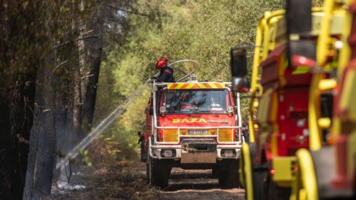 Incendies en Gironde : les premi&egrave;res aides vers&eacute;es d&eacute;but ao&ucirc;t, 500 entreprises ont d&eacute;j&agrave; recours au ch&ocirc;mage partiel