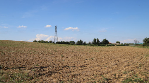 Canicule et s&eacute;cheresse : l&rsquo;agriculture plomb&eacute;e, 0,1 point de PIB en moins pour la France en 2026