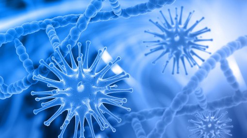 Virus du Nil occidental, 16 cas suppl&eacute;mentaires recens&eacute;s en une semaine en France