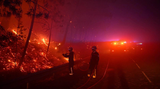 Incendies &agrave; Fontainebleau : plus de 1 900 hectares parcourus, 850 pompiers toujours mobilis&eacute;s