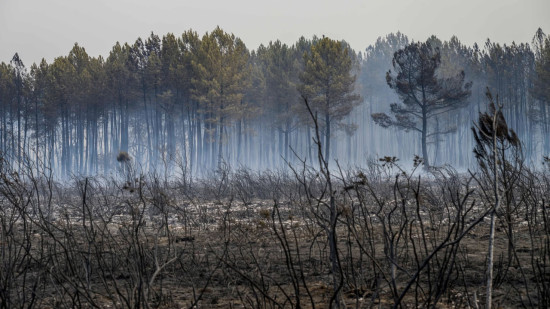 Landes : le feu repart &agrave; l&rsquo;aube, 650 personnes d&eacute;sormais &eacute;vacu&eacute;es