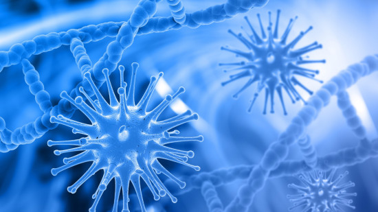 Virus du Nil occidental, 16 cas suppl&eacute;mentaires recens&eacute;s en une semaine en France