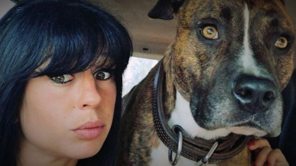 Mort d&rsquo;Elisa Pilarski : six ans apr&egrave;s le drame, Christophe Ellul condamn&eacute; et le chien Curtis vou&eacute; &agrave; l&rsquo;euthanasie