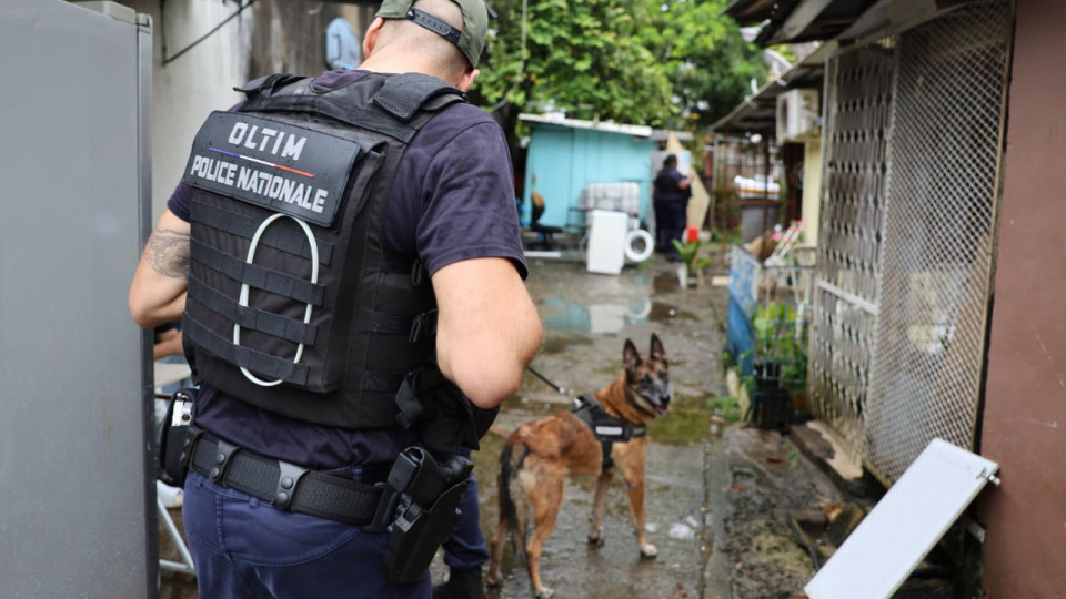 Pourquoi les Antilles et la Guyane sont devenues une priorit&eacute; dans la lutte contre le narcotrafic