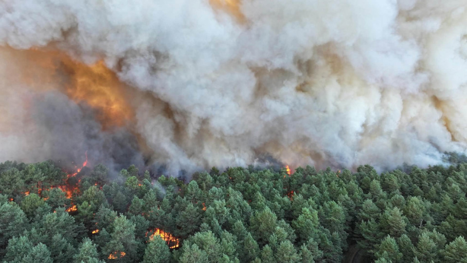 Plus de 800 hectares d&eacute;truits : l'incendie de la for&ecirc;t de Fontainebleau mobilise d'importants moyens