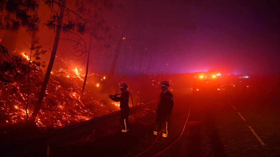 Incendies &agrave; Fontainebleau : plus de 1 900 hectares parcourus, 850 pompiers toujours mobilis&eacute;s
