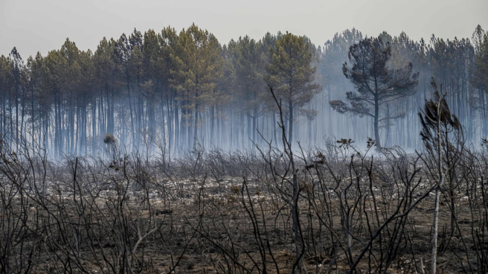 Landes : le feu repart &agrave; l&rsquo;aube, 650 personnes d&eacute;sormais &eacute;vacu&eacute;es
