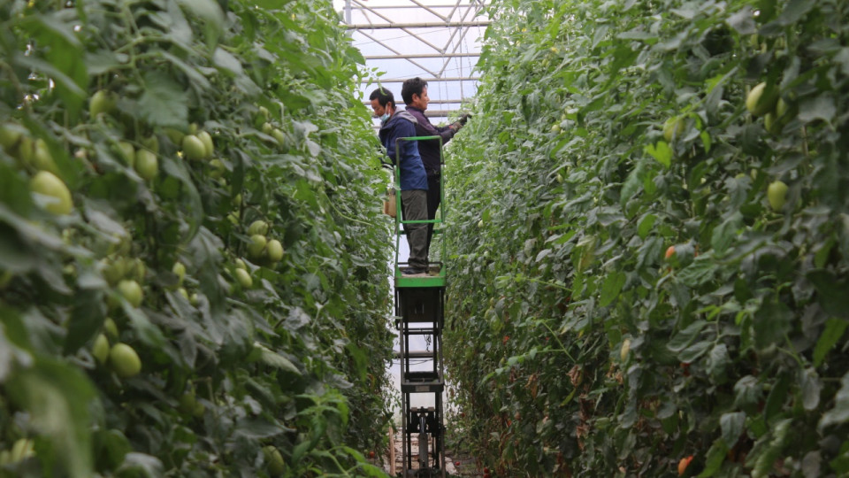 Crise agricole : le gouvernement d&eacute;bloque plus d&rsquo;un milliard d&rsquo;euros d&rsquo;aides