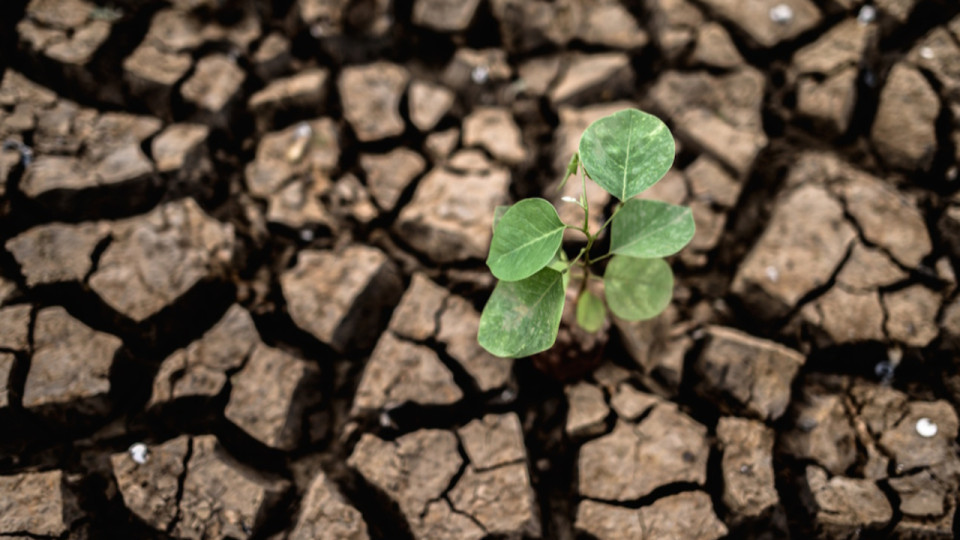 Climat : la France appel&eacute;e &agrave; viser la neutralit&eacute; de son empreinte carbone d&egrave;s 2060