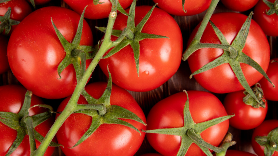 Tomates Prix Bas rappel&eacute;es chez Auchan : un taux d&rsquo;ac&eacute;tamipride sup&eacute;rieur &agrave; la limite autoris&eacute;e