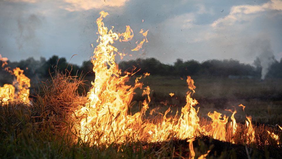 Gironde, Landes, Var, le co&ucirc;t des incendies revu &agrave; la hausse